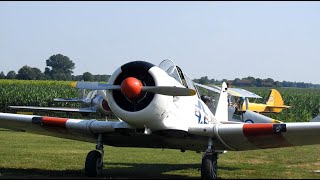 North American T 6 Texan airshow display | Texan T 6 high speed pass | T 6 solo flight