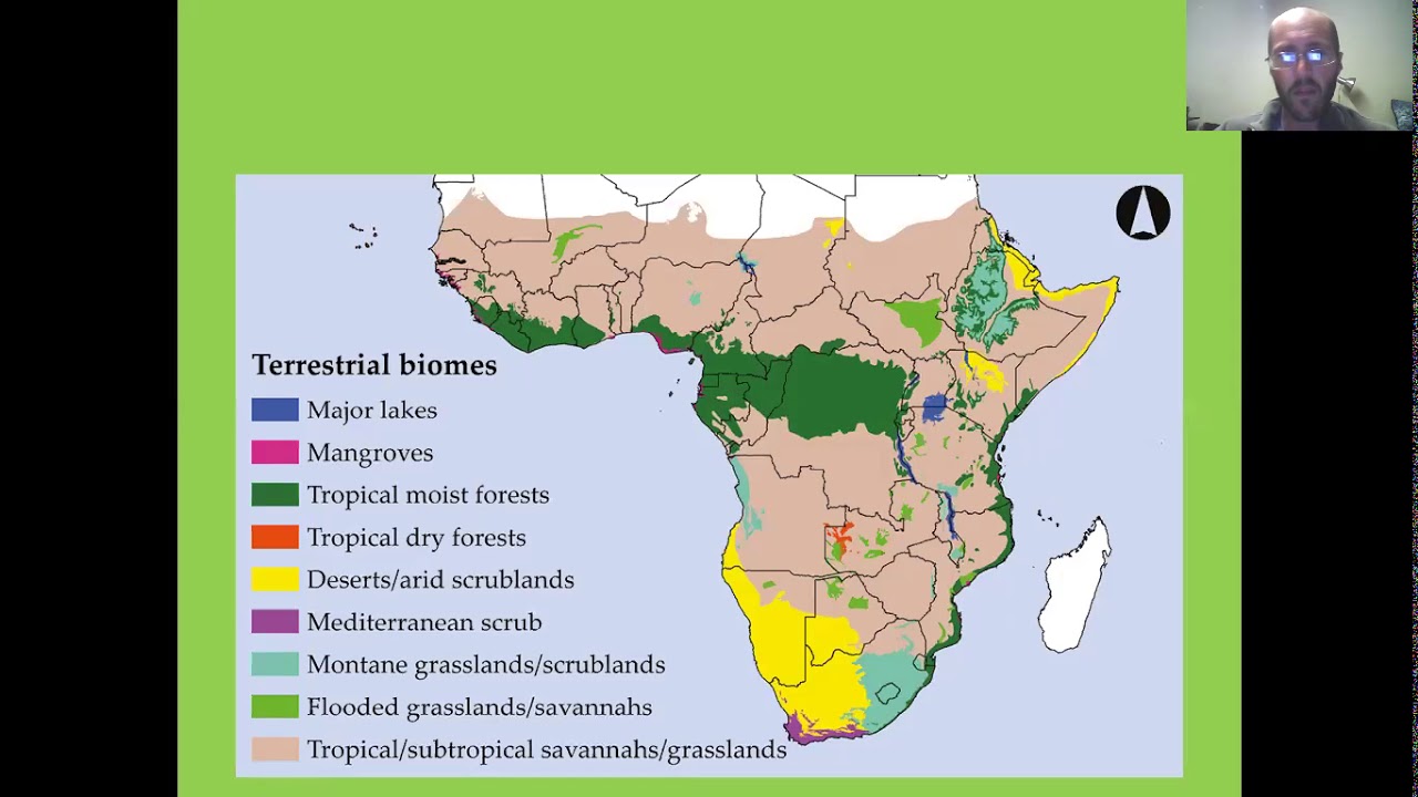 Biomes Of South Africa 1 YouTube Biomes Of South Africa 1 YouTube