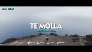 DJ SLOW VIRAL TIKTOK !!! HDR BEAT - TE MOLLA (Slow Remix)