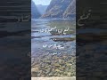 صابرة عزامة يا عيني كوني صابرة عزامة صابرة عزامة يا عيني كوني صابرة عزامة
