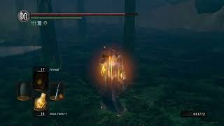 Dark Souls Remastered Hd Blackbow Of Pharis Easy Way