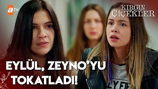 Download Lagu Zeyno, Serkan'ı Eylül'ün elinden almaya çalışıyor! | Kırgın Çiçekler 30. Bölüm MP3 Download Lagu Zeyno, Serkan'ı Eylül'ün elinden almaya çalışıyor! | Kırgın Çiçekler 30. Bölüm MP3