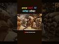 Poha Origin Story | Kaise Bheega Dhaan Bana Indore Ka Nashta #Poha #FoodHistory#shorts