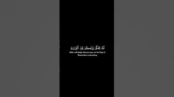 اللَّهُ يَحْكُمُ بَيْنَكُمْ يَوْمَ القِيَـٰمَةِ الشيخ #المنشاوي #كرومات_قرآن #سورة_الحج #قرآن #quran