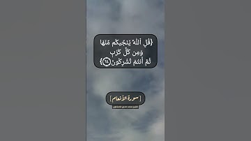 سورة الأنعام الآية ٦٣ و ٦٤ بصوت الشيخ محمد صديق المنشاوي