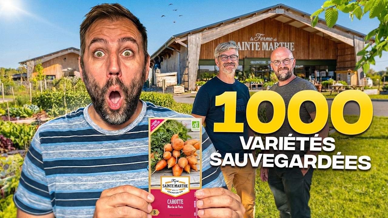 Ils CONSERVENT plus de 1000 VARIÉTÉS de GRAINES biologiques pour notre souveraineté alimentaire