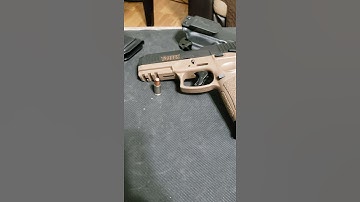 Pick One [ Taurus G2C or Taurus G3]