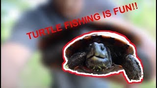 How To Catch Turtles On A Rod And Reel!!!