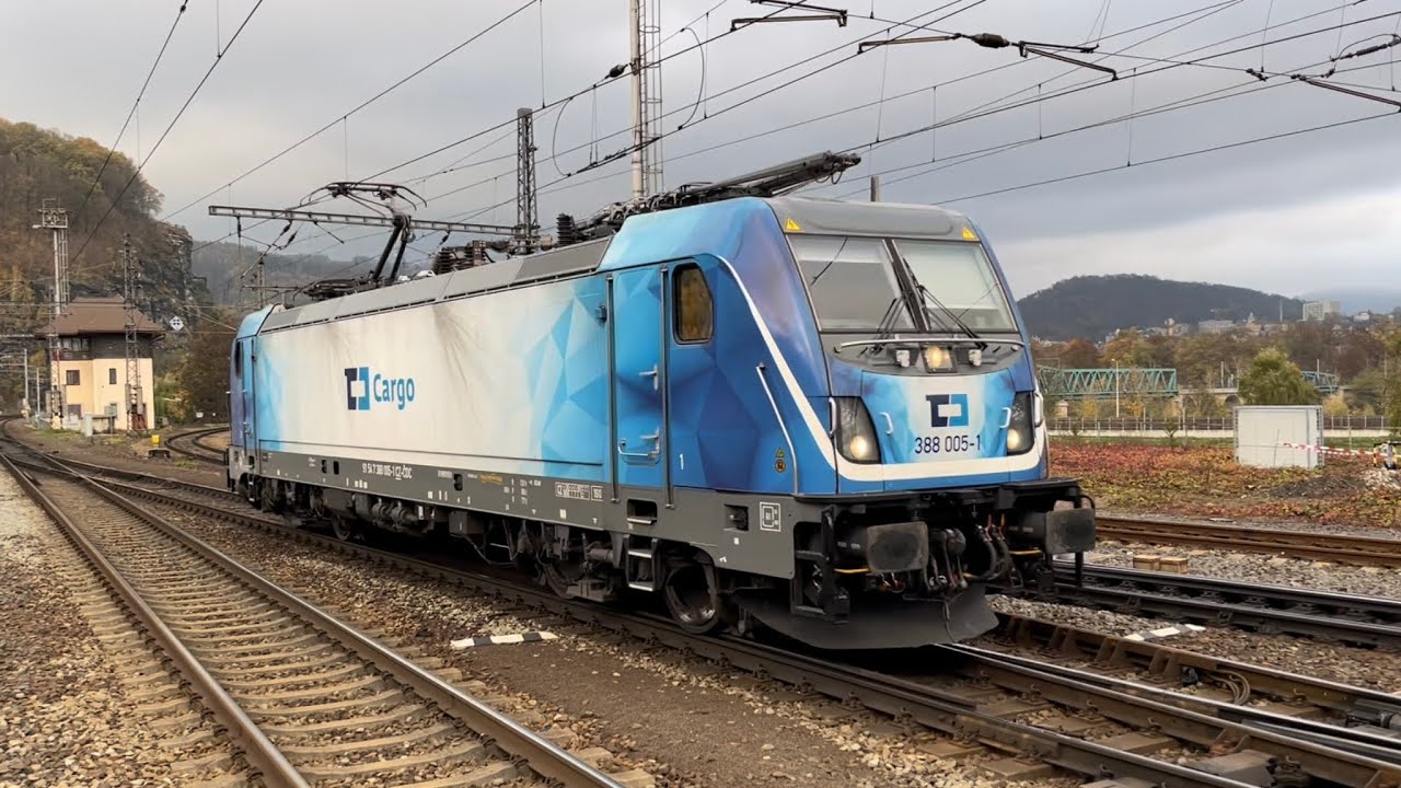 🇨🇿 Vlaky/Trains at Děčín hlavní nádraží. 06.11.22