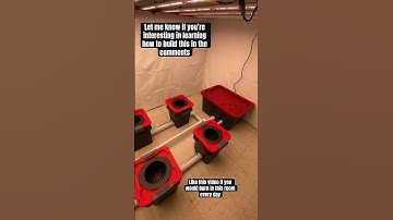 How to build hydroponic RDWC 6 bucket indoor grow setup #shorts #dwc #rdwc #diy #howto
