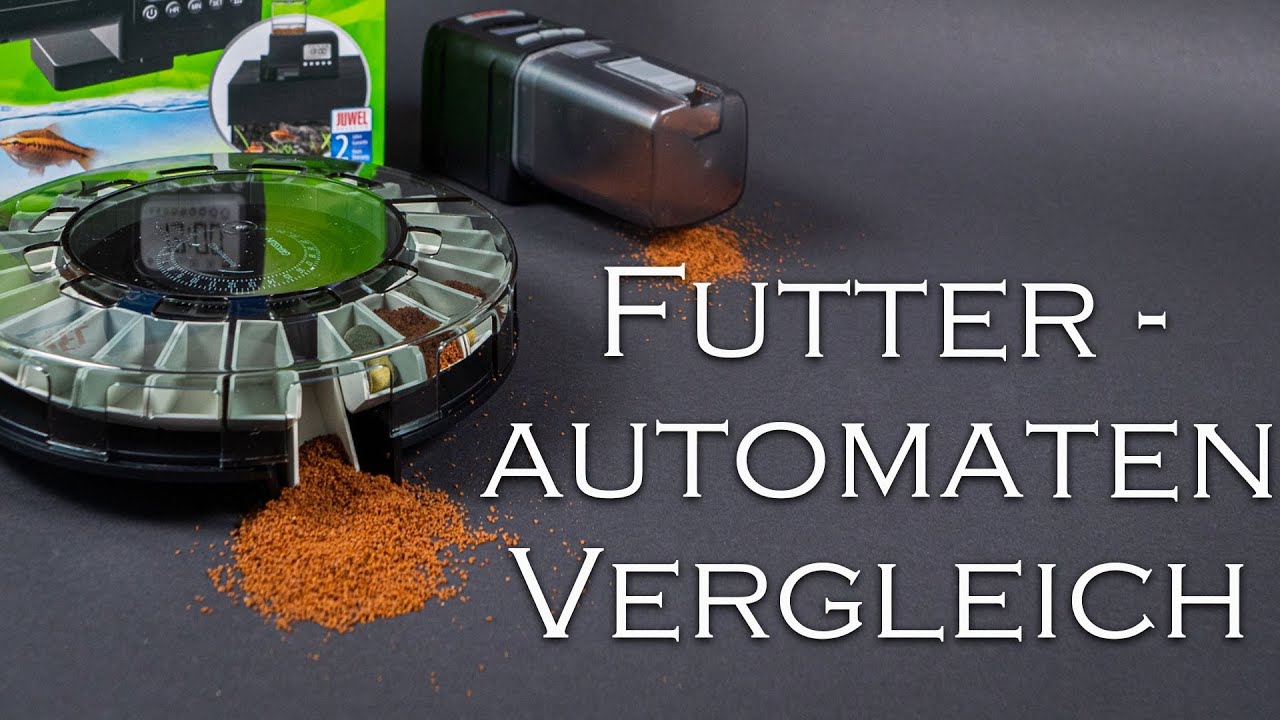 Welcher Futterautomat ist der beste? - XL Futterautomaten-Vergleich | Aquado-Zoo Dortmund