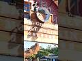 Big Grizzly Mountain Runaway Mine Cars in Hong Kong Disneyland