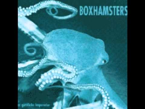 Boxhamsters - Onkel Otto