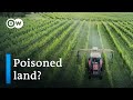 Is Parkinson's disease related to pesticide use? | DW Documentary