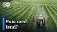 The Hidden Dangers of Pesticides ile ilgili video