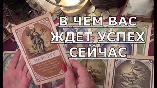 💥 В ЧЕМ ВАС ЖДЕТ УСПЕХ 💯 НА ЧТО ВАС БЛАГОСЛОВИЛИ ВЫСШИЕ СИЛЫ Таро знаки судьбы прогноз #tarot