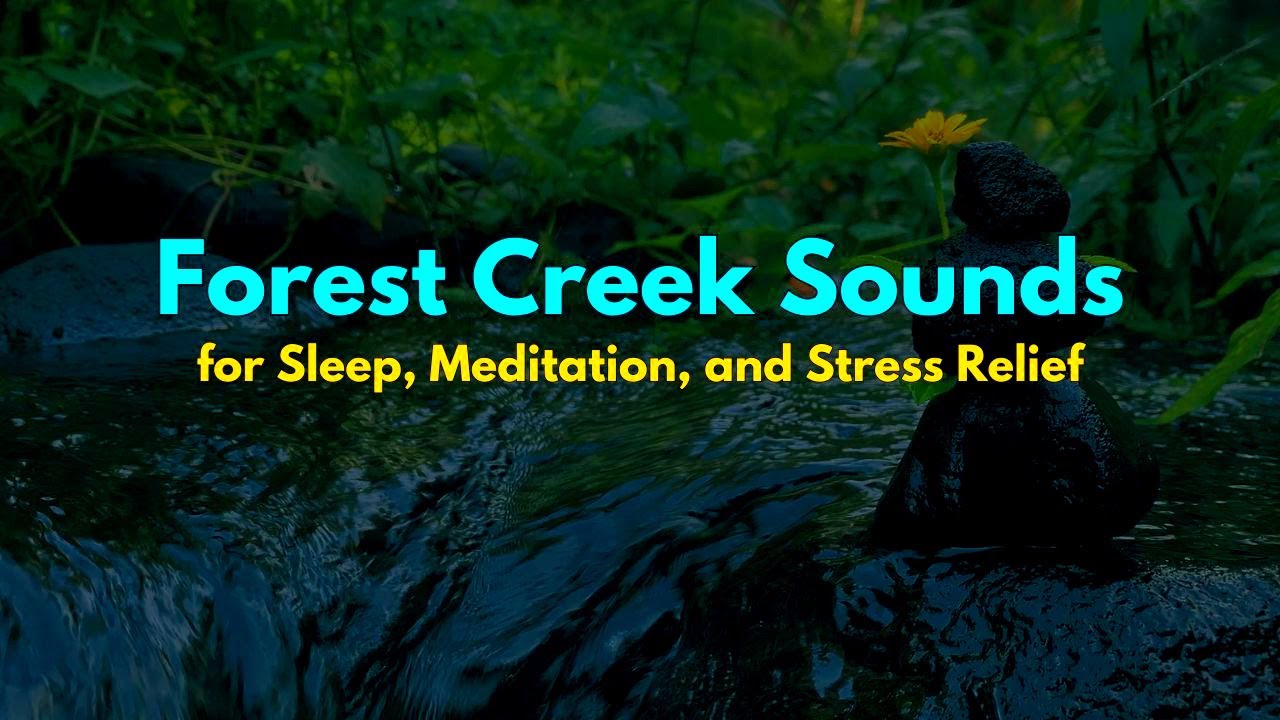 Forest Creek Sounds for Sleep, Meditation, and Stress Relief - Yapah ...