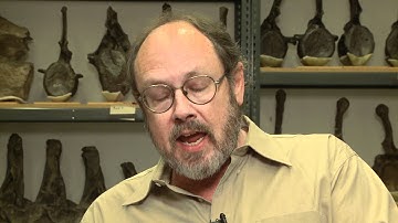 What Was Dinosaur Skin Like?