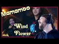 Mamamoo - Wind Flower MV reaction | Metal Musician Reacts