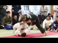 Marcio reis checkmat japan vs rogrio cristo rocha jj