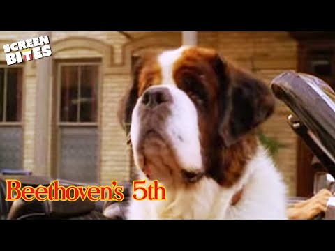 Beethoven's 5th (2003) | Official Trailer | Screen Bites