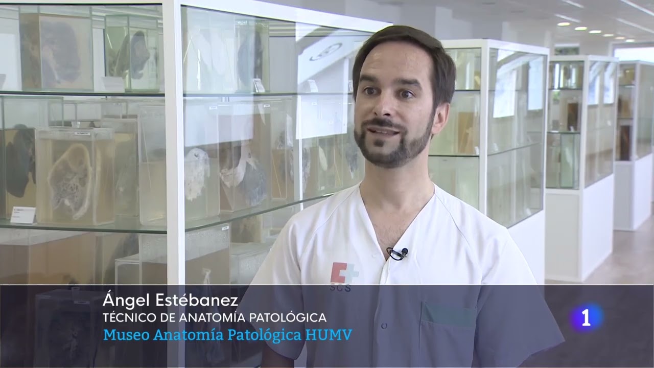 Museo de Anatomía Patológica. HUMV