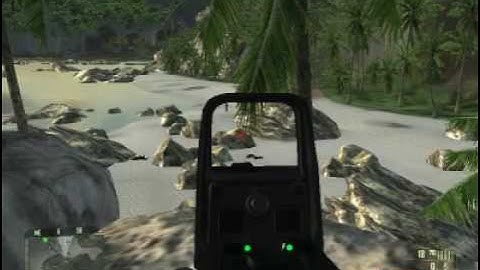 Crysis Using the Silencer