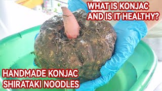 Handmade Konjac Shirataki Noodles | what is konjac corn look like | What is konjac and is it healthy