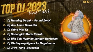 DJ HANNING DAYAK - Sound ZenX FULL ALBUM • Dj Viral TikTok TERBARU 223