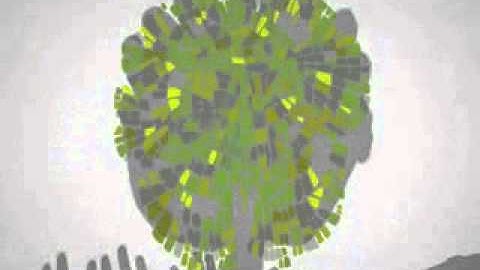 UNDP Capacity Development Video