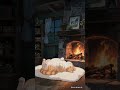 Cozy Fireplace &amp; Sleepy Cat ASMR 🔥🐈 #cozyvibes #catasmr #sleep
