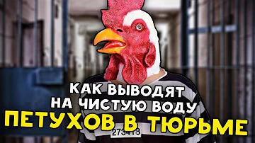 КАК ВЫЧИСЛЯЮТ ПЕТУХОВ В ТЮРЬМЕ / НА ЗОНЕ