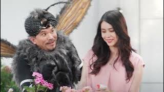 Soffell Bebas Nyamuk