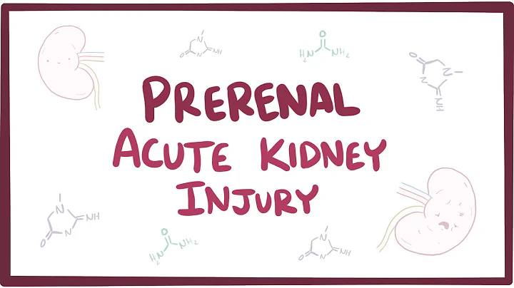 Prerenal acute kidney injury (acute renal failure) - causes, symptoms & pathology - DayDayNews