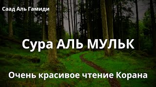 Сура АЛЬ МУЛЬК - Саад Аль Гамиди / سورة الملك - سعد الغامدي