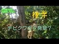 【後半】冬の雑木林を探検！【自然観察】