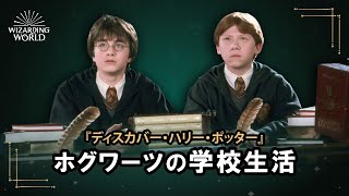 【ディスカバー・ハリー・ポッター】ホグワーツの学校生活