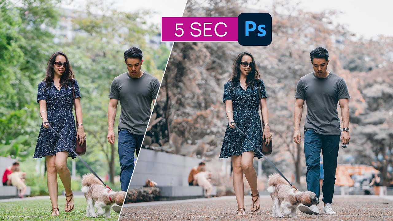 One Click Color Grade One Click Color Grading - Photoshop Has Hidden Secret To Quick Color ...