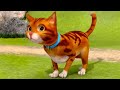 Sam El Bombero En Español Magia Del Gato Capítulos Completos 