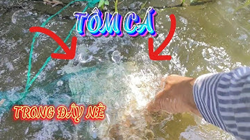 Tranh thủ thời gian đi thăm 12 cửa ngục đường sông. Kiếm tôm cá THIÊN NHIÊN.