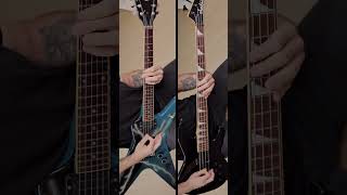 The power of Dimebag Darrell &amp; Rex Brown in Pantera - Domination