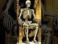What If Marie Antoinette Had Social Media? Skelly Shows Her the Truth