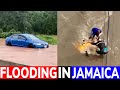 FLOODING across JAMAICA (November 2023) image
