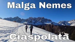 Ciaspolata Malga Nemes e Coltrondo - Alpi di Nemes