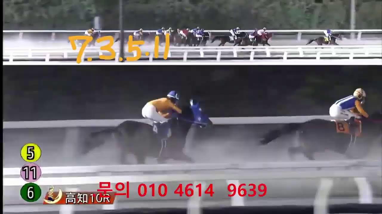 아몬드 아이님의 라이브 방송