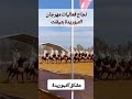 نجاح فعاليات التبوريدة في مهرجان تيفلت نجاح فعاليات التبوريدة في مهرجان تيفلت