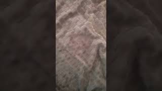 14 Февраля 2026 Г.