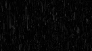 Gentle Night Rain | Calm Rain Black Screen Rain for Sleep, Study, Rain NO THUNDER