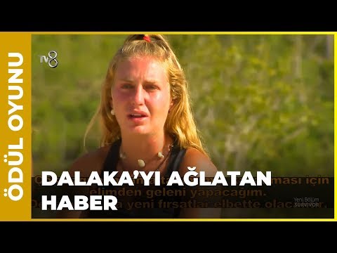 Dalaka'ya Kötü Haber! - Survivor