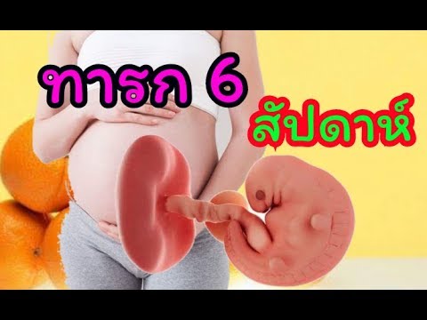 วีดีโอ: 6 สัปดาห์ของการตั้งครรภ์: คำอธิบาย ขนาดของทารกในครรภ์ ความรู้สึก